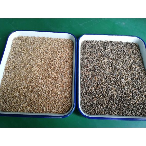 Sesame Pepper Color Sorting Machine With Ce Certificate
