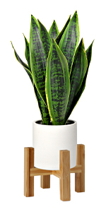 Artificial Bonsai Tree Juniper Faux Plants Indoor Fake Plants Decor with Ceramic Pots for Home Table Office Desk