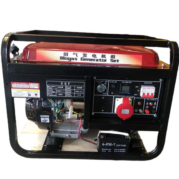1500/1800rpm 3kw 5kw à double carburant essence et biogaz petit générateur de biogaz pour votre
