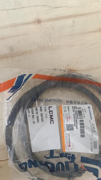 ANEL INSTANTÂNEO de LGMC 76A0002 PARA o PREÇO do MELHOR do VENDEDOR de MELHOR do MOTOR do CARREGADOR da RODA