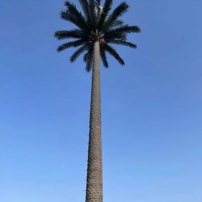 10 20 30 40 50 60 70 80 M Hot Dipped Galvanized Camouflaged Pole Palm / Pine Micro Fake Cell Tower Trees 10 20 30 40 50 60 70 80 M
