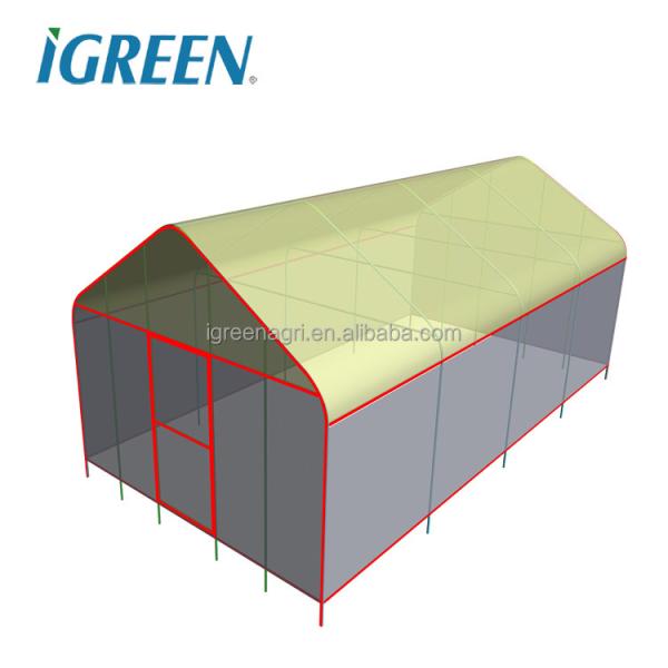 Vegetable Single Span Greenhouse Customized Small Outdoor Greenhouses IGreen