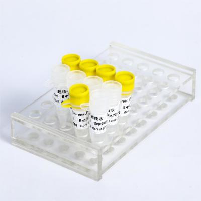 Fast Restriction Endonuclease NotI