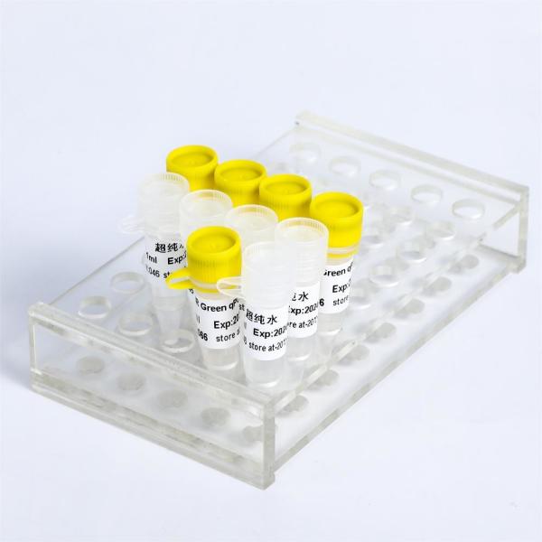 Fast Restriction Endonuclease NotI