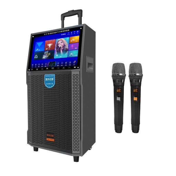 WIFI Portable Bluetooth Karaoke Party Speaker Super Bass Wireless 10 Inch Outdoor