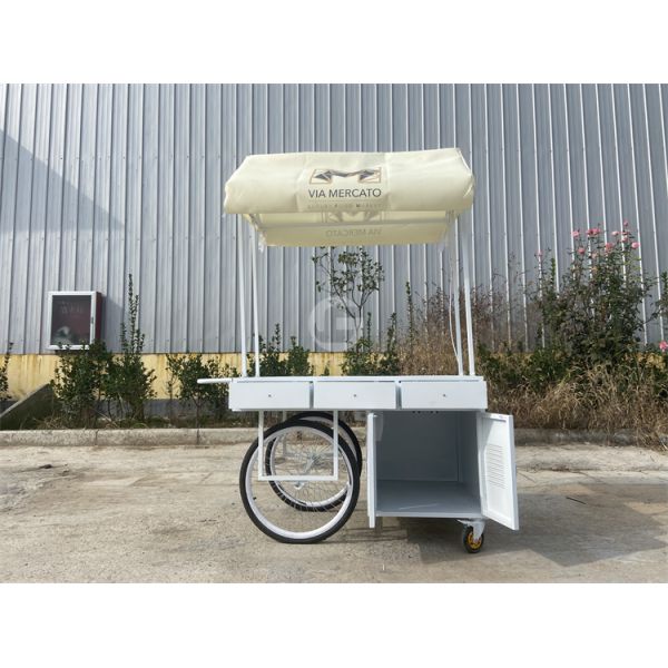 China Made Small Street Ice Cream Trucks Food Cart Used Stainless Steel Food Trucks for Sale