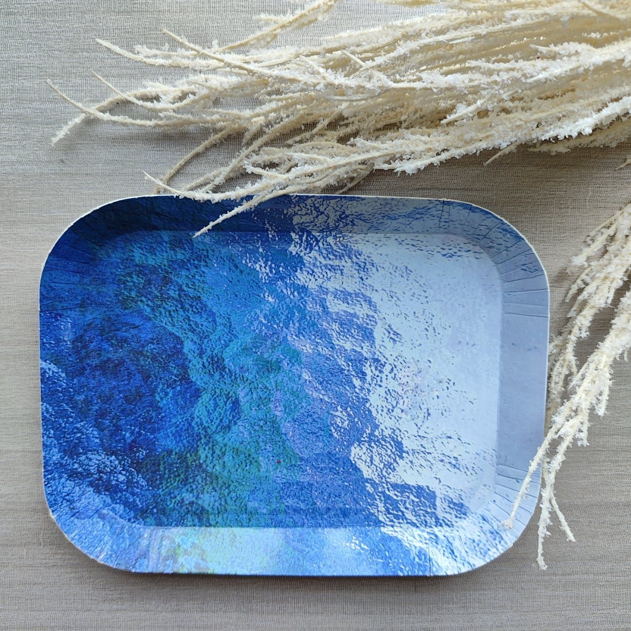 Eco-friendly Disposable Tableware for Birthday Party Food and Cake Plate Lunch Plate
