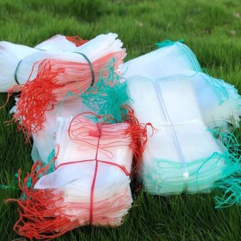 Zucchini Plastic Mesh insect Netting Bags Anti Bug And Fly 3years Work Life