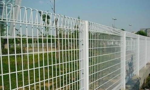 100 X 50mm Welded Wire Mesh Panel 5mm Diameter Roll Top Fencing Panels
