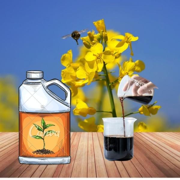 Adubo Foliar líquido do magnésio do cálcio dos Peptides do ácido aminado bio para todas as colheitas