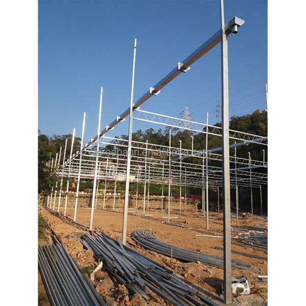 Smart Greenhouse with Customized Length and Hot Dipped Galvanized Steel Frame Featuring Roof and Side Vents