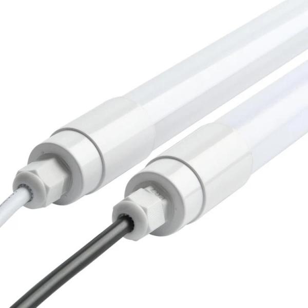 50000 hrs Life Span T8 LED Poultry Lighting with No UV/IR Radiation & Lower Power Consumption