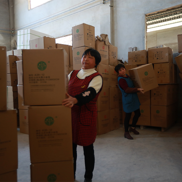 Guangdong Qianrui Industrial Co., Ltd.