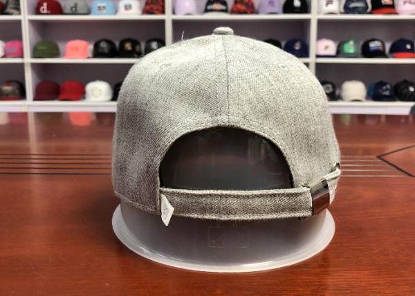Hot Sales ACE Custom Unisex 6 panels Cotton Fabric Flat Embroidery Lion Logo Metal Back Closure Baseball Cap