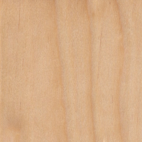 Estampilla de madera de Beech 63mm Estampillas de galletas de madera de colores
