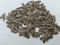 Original Flavor Salt Vinegar Sunflower Seeds