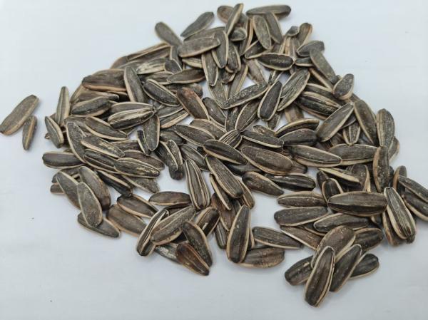 Original Flavor Salt Vinegar Sunflower Seeds