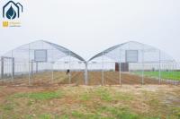 Serre préfabriquée multi-travées à faible coût pour l'agriculture, pour la culture de tomates et de poivrons