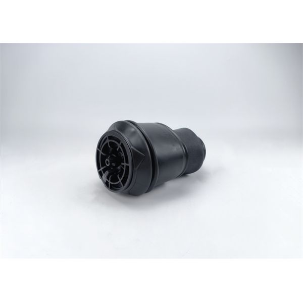 5102GQ 5102GP Sacs de suspension arrière pour Citroën Fiat Peugeot