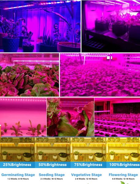 4ft hydroponic light 36w 18W T8 led grow light tube led indoor grow lights stand for lettuce mushroom