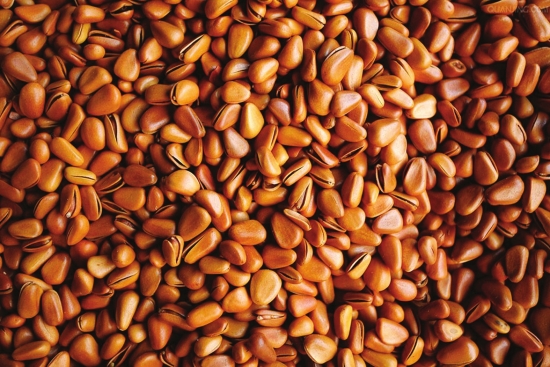 Microwave Food Sterilization Equipment / Dried Fruit Sterilizing Equipment