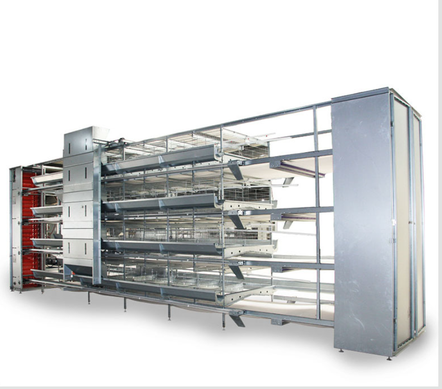 Hot-dip Galvanized Small Tier Layer Cages Easy Manure Removal  Customized service