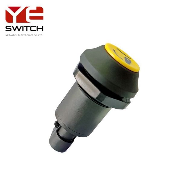 Heavy Duty Electric Pto Switch IP67 10W/Va Waterproof Momentary Switch