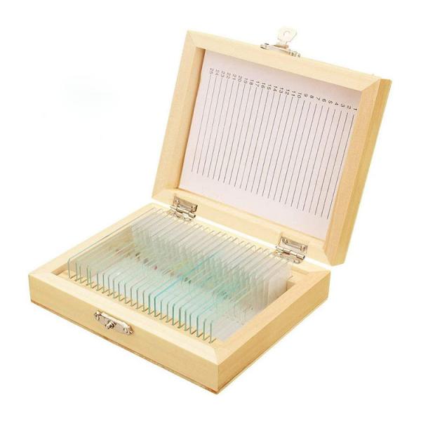 Medical Research Used Microbiology Amoeba Prepared Glass Microscope Slides For Teaching