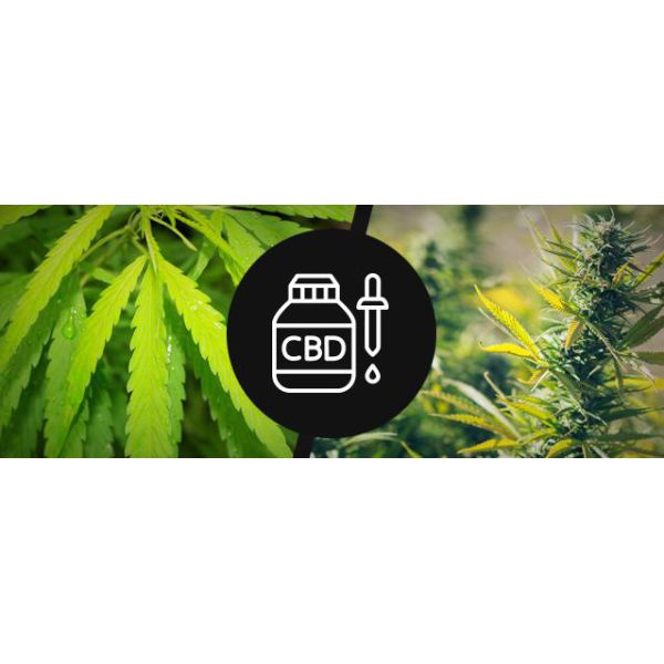 машина извлечения 1000Lbs CBD, машина извлечения алкоголя масла