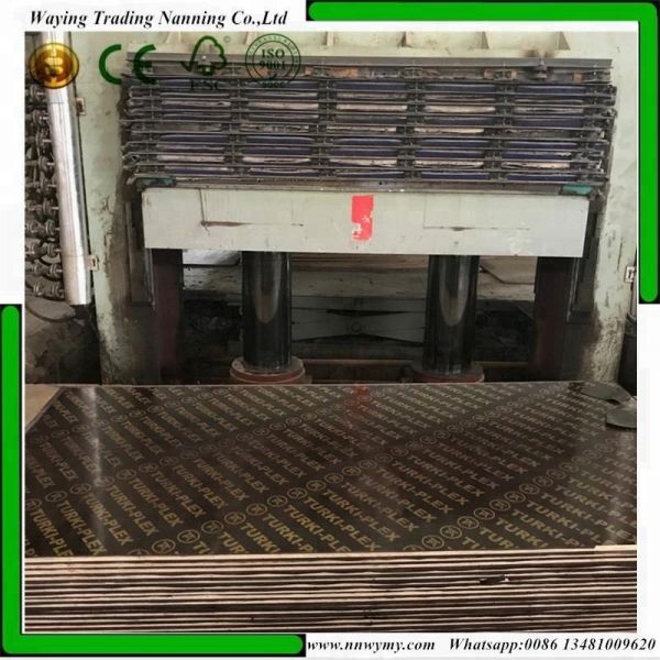 Finger Jointed Core Poplar 20mm Film Faced Plywood