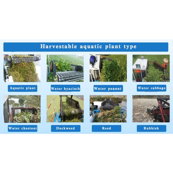 Keda 9HP Engine Aquatic Weed Harvester with Full Hydraulic Control and Low Noise Level for Efficient Garbage Salvage