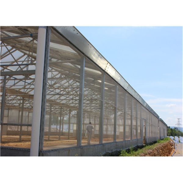 Ground Solar System For Agriculture , Plant Farm Solar PV Mounting Systems