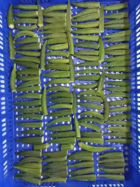 Frozen Lady's Fingers IQF Premium Okra Vegetable Whole and Sliced for Cooking Wholesale Bulk Supplier from Vietnam