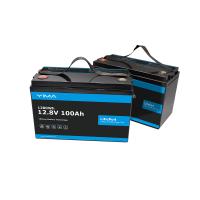 Paquete de batería Lifepo4 de 24V personalizado 100Ah con 100A BMS para carrito de golf