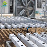 Equipamento crescente hidropônico Soilless de jardinagem Soilless vertical dos sistemas