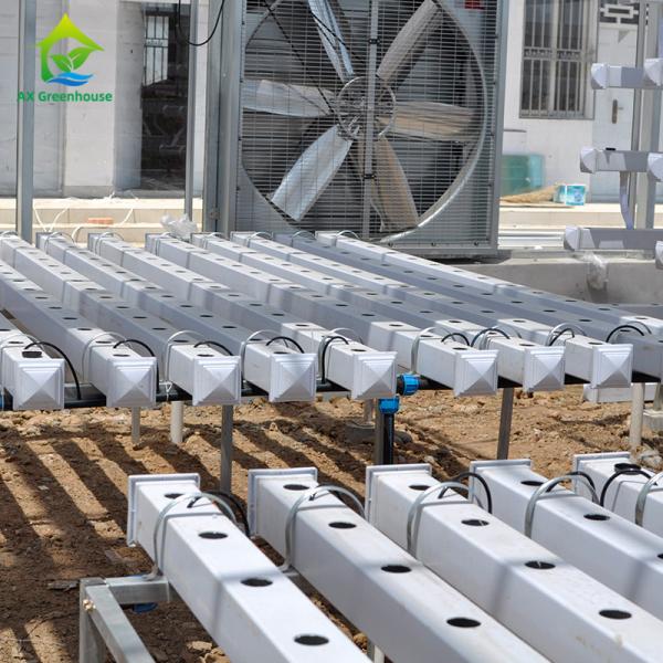 Equipamento de cultivo hidropônico de jardinagem Soilless personalizado do vertical dos sistemas