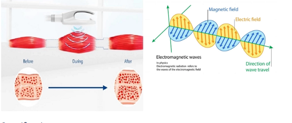 Жирное тело кавитации клиники потери уменьшая машину