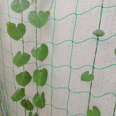 Garden Yard Green 1.8m2 Plastic Climber Plant Supporting Net