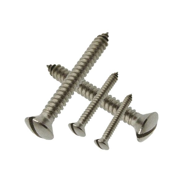 Поднятые винты собственной личности головы CSK выстукивая деревянные, прорезали поднятый зенкованный винт древесины