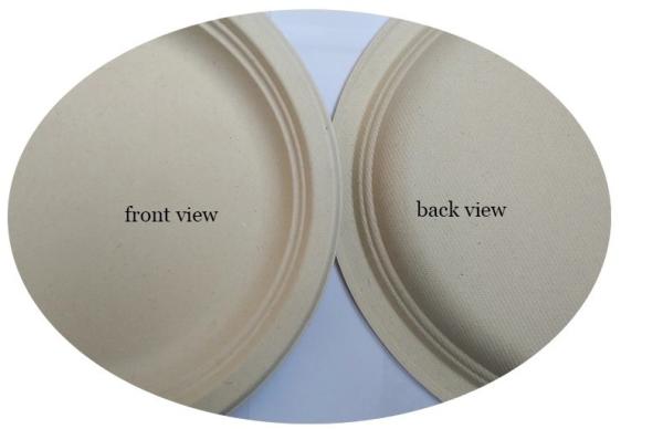 10 Inch 17g Eco Friendly Sugarcane Paper Plates