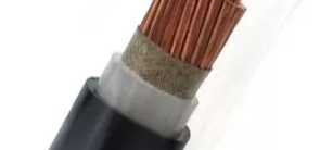 Теплостойкий гибкий кабель, кабель ядра 0.6-1kV WDZAN-YJY/N2XY одиночный