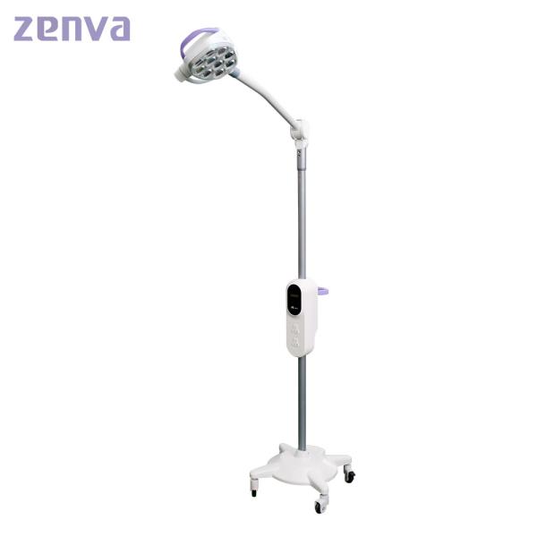 Clinic Aluminum Alloy Surgical OT Lamp Battery Medical Operated Lights For Hospital