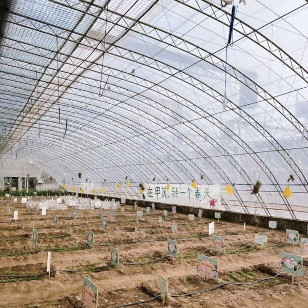 100.000кг Настройка Цветочные плантации Капельное орошение Овощи Солнечный свет Теплица