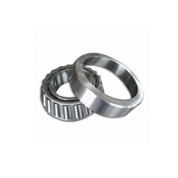 NF ECT Single Row Roller Bearing OEM Customized Electric Motor Bearing