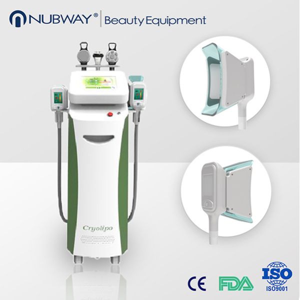2015 advanced cryolipolysis freezing fat cell slimming / cryolipolysis & ultrasonic machin