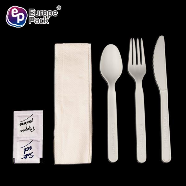 Cutlery with Napkin Colorful PLA Plastic Wholesale Disposable Flatware Sets Support Top Level Quality Knife Spoon Fork S