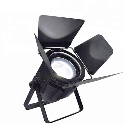 200 Watt Pro Stage Lighting , COB LED Par Light Warm White And Cool White With Shutter