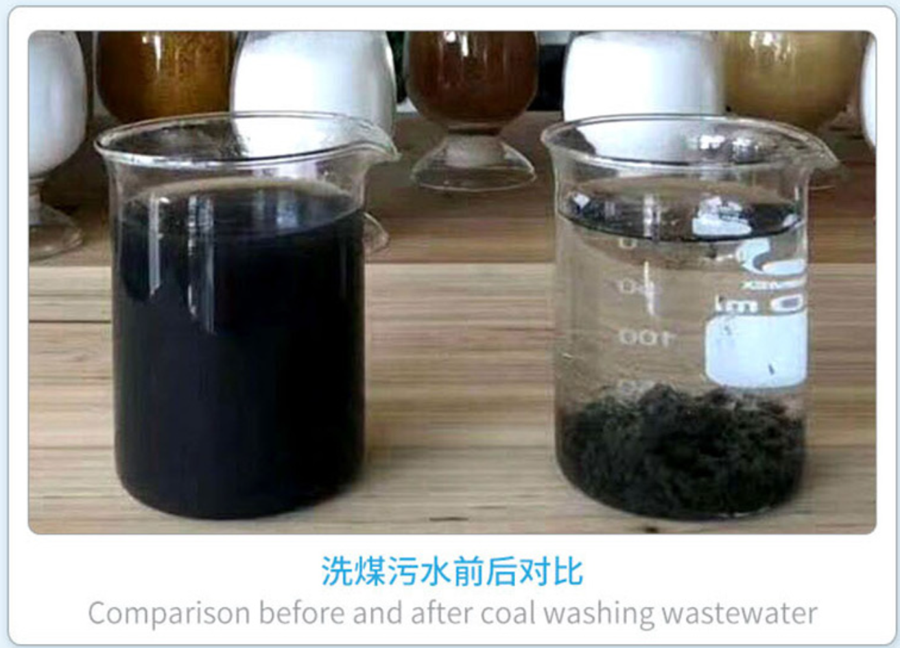 White Sand Washing Water Purification Polymer Anionic Polyacrylamide Mining Focculants