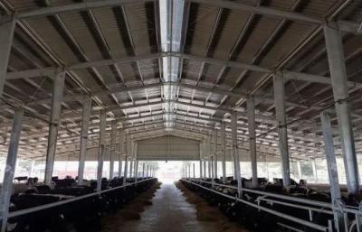 Architecture Standard Prefabricated Steel Structure Frame Workshop