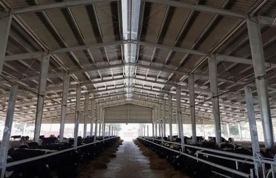 Prefabricated Modular Building for Modern Farms and Equestrian Facilities Durable and Steel Structures for Agriculture and Livestock